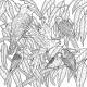 NATURE & LIBERTE COLORIAGE ADULTE