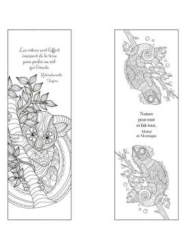 ELOGE DE LA NATURE  MARQUE-PAGES A COLORIER