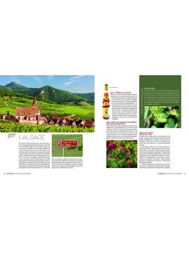 LA FRANCE DES VINS ET DES CHAMPAGNES