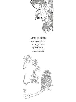 ELOGE DES OISEAUX MARQUE-PAGES A COLORIER