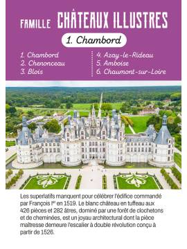 JEU DES 7 FAMILLES CHATEAUX DE LA LOIRE