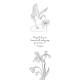 ELOGE DES OISEAUX MARQUE-PAGES A COLORIER