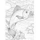 PARCS NATIONAUX COLORIAGES