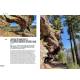 ALSACE PRODIGIEUSE - LES PLUS BEAUX SITES NATURELS