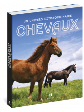 CHEVAUX, UN UNIVERS EXTRAORDINAIRE