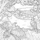 NATURE & LIBERTE COLORIAGE ADULTE
