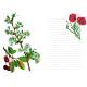 NOTES FLORALES CARNET DE NOTES
