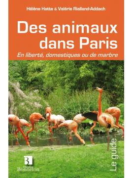 DES ANIMAUX DANS PARIS - EN LIBERTE DOMESTIQUES OU DE MARBRE