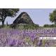LE LUBERON - EN LETTRE & EN IMAGES