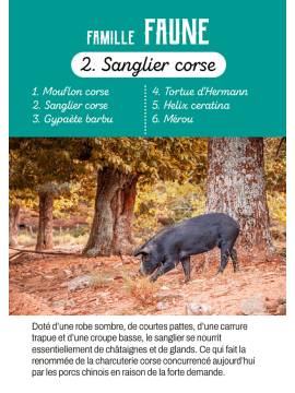 JEU DES 7 FAMILLES CORSE